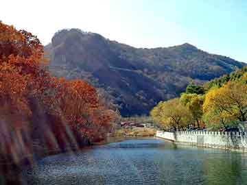 安康汉江水位与篮圈价格，多重因素下的动态平衡探讨