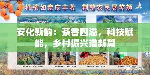 安化新韵：茶香四溢，科技赋能，乡村振兴谱新篇