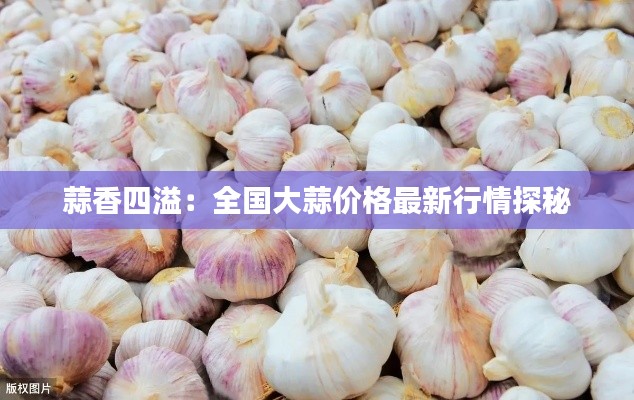 蒜香四溢:全国大蒜价格最新行情探秘
