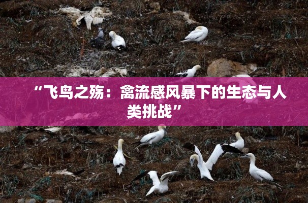 “飞鸟之殇:禽流感风暴下的生态与人类挑战”