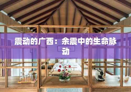 震动的广西:余震中的生命脉动