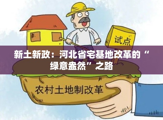 新土新政:河北省宅基地改革的“绿意盎然”之路