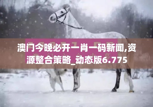 澳门今晚必开一肖一码新闻,资源整合策略_动态版6.775