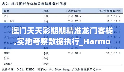 澳门天天彩期期精准龙门客栈,实地考察数据执行_HarmonyOS6.889