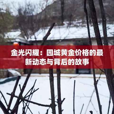 金光闪耀:园城黄金价格的最新动态与背后的故事