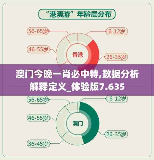 澳门今晚一肖必中特,数据分析解释定义_体验版7.635