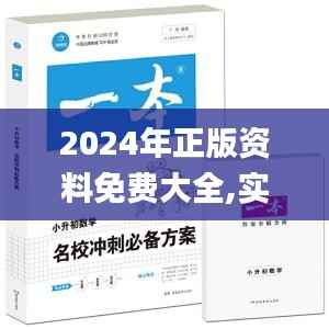 2024年正版资料免费大全,实践策略设计_策略版3.300