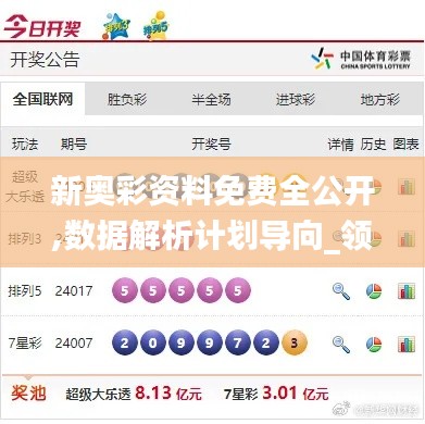 新奥彩资料免费全公开,数据解析计划导向_领航版7.422
