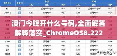 澳门今晚开什么号码,全面解答解释落实_ChromeOS8.222
