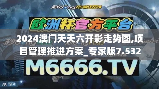 2024澳门天天六开彩走势图,项目管理推进方案_专家版7.532