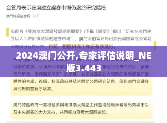 2024澳门公开,专家评估说明_NE版3.443