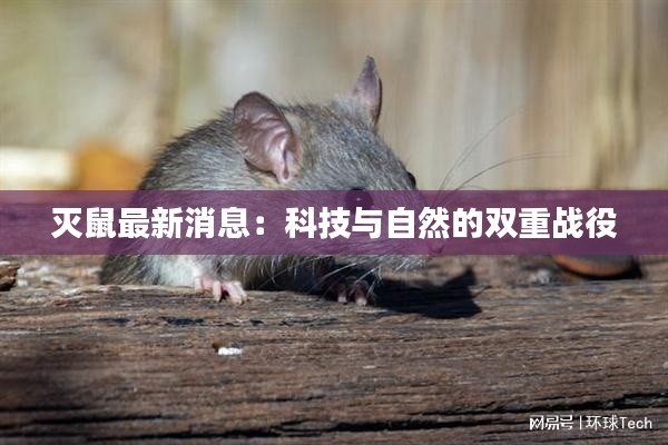 灭鼠最新消息:科技与自然的双重战役
