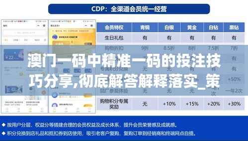澳门一码中精准一码的投注技巧分享,彻底解答解释落实_策略版5.728