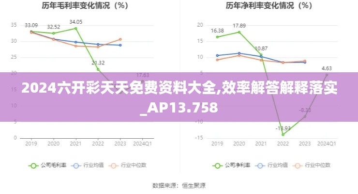 2024六开彩天天免费资料大全,效率解答解释落实_AP13.758
