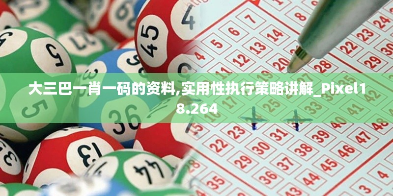 大三巴一肖一码的资料,实用性执行策略讲解_Pixel18.264