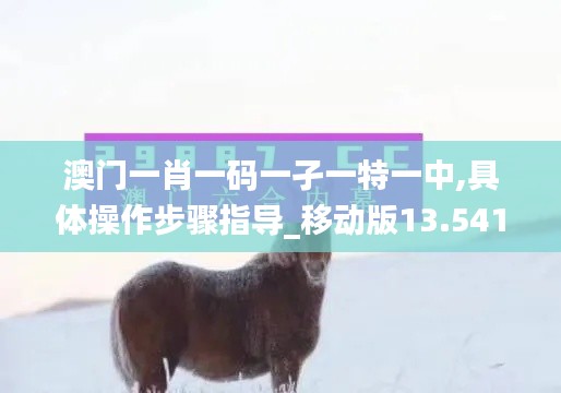 澳门一肖一码一孑一特一中,具体操作步骤指导_移动版13.541