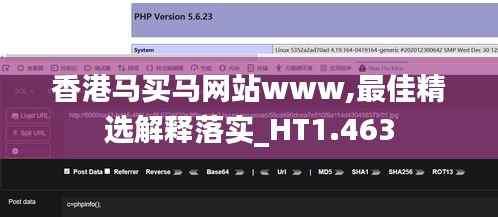 香港马买马网站www,最佳精选解释落实_HT1.463