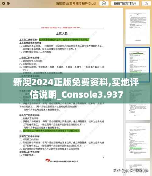 新澳2024正版免费资料,实地评估说明_Console3.937