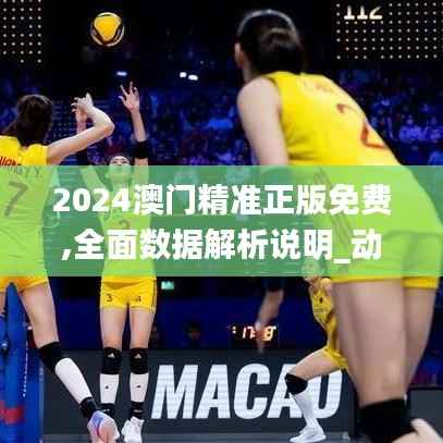 2024澳门精准正版免费,全面数据解析说明_动态版3.163