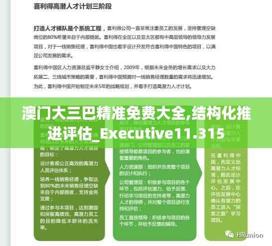 澳门大三巴精准免费大全,结构化推进评估_Executive11.315