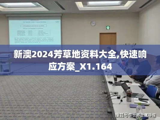 新澳2024芳草地资料大全,快速响应方案_X1.164