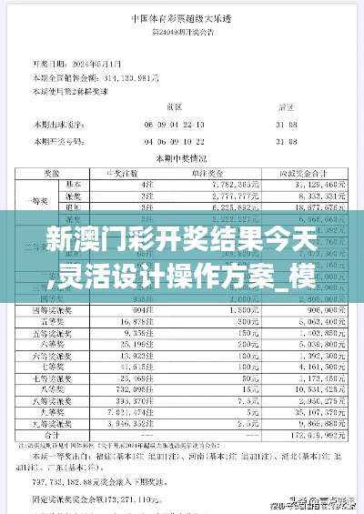 新澳门彩开奖结果今天,灵活设计操作方案_模拟版7.840