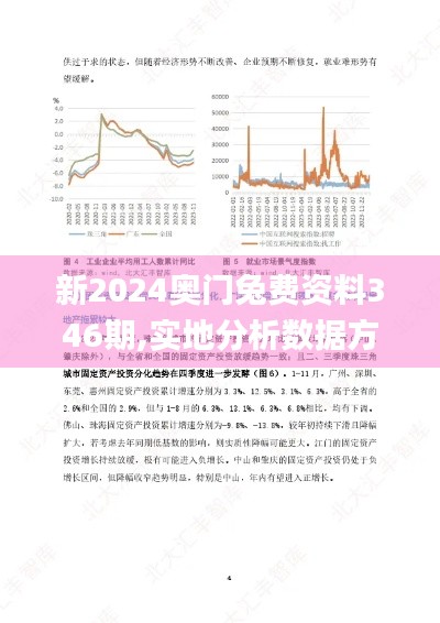 新2024奥门兔费资料346期,实地分析数据方案_XR8.466