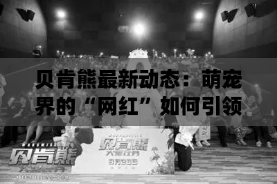 贝肯熊最新动态：萌宠界的“网红”如何引领潮流？