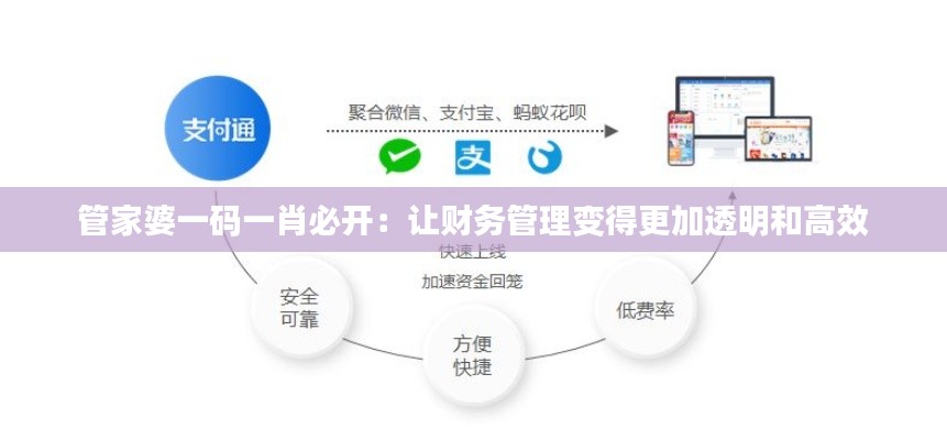管家婆一码一肖必开：让财务管理变得更加透明和高效