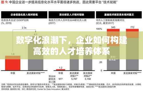 数字化浪潮下,企业如何构建高效的人才培养体系