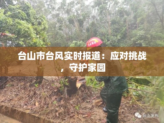 台山市台风实时报道：应对挑战，守护家园