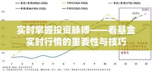 轻徙鸟举 第3页