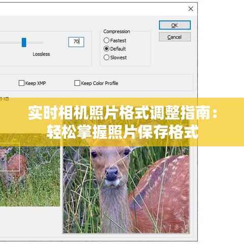 实时相机照片格式调整指南:轻松掌握照片保存格式