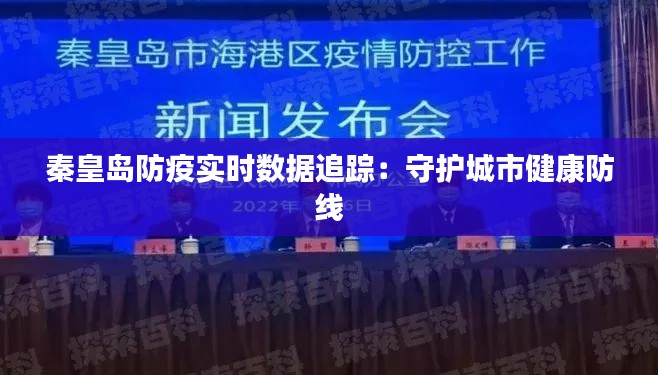 秦皇岛防疫实时数据追踪:守护城市健康防线