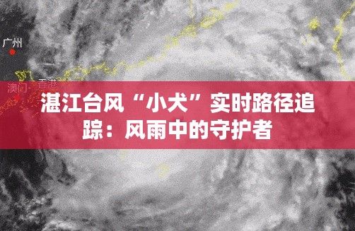 湛江台风“小犬”实时路径追踪:风雨中的守护者