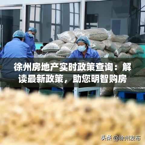 徐州房地产实时政策查询:解读最新政策,助您明智购房