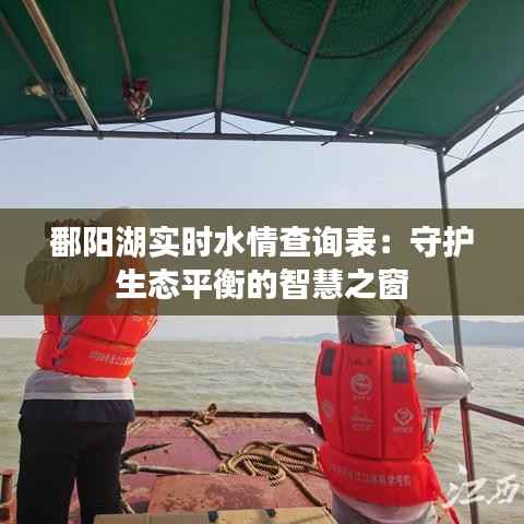 鄱阳湖实时水情查询表:守护生态平衡的智慧之窗