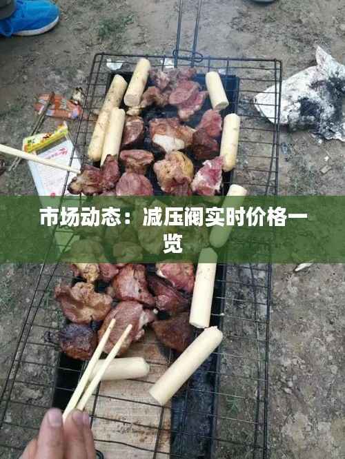 市场动态：减压阀实时价格一览