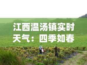 江西温汤镇实时天气:四季如春的养生宝地
