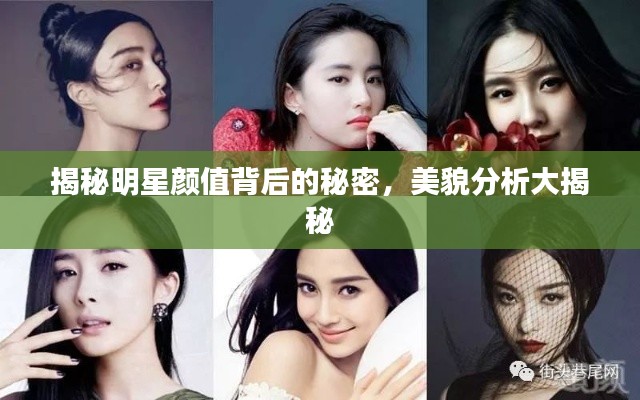 揭秘明星颜值背后的秘密,美貌分析大揭秘