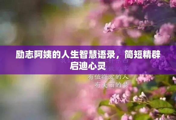 夜以继日 第3页