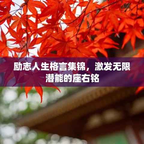 励志人生格言集锦,激发无限潜能的座右铭