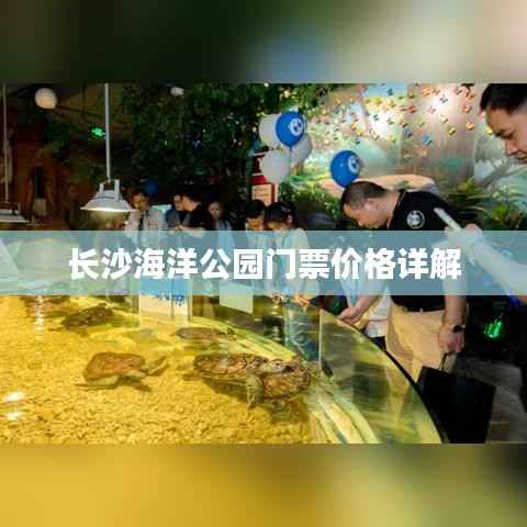 长沙海洋公园门票价格详解