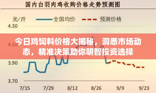 今日鸡饲料价格大揭秘，洞悉市场动态，精准决策助你明智投资选择
