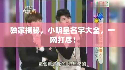 独家揭秘，小明星名字大全，一网打尽！