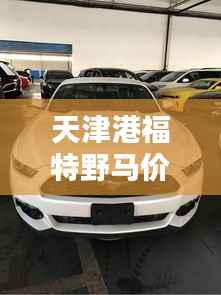 天津港福特野马价格揭秘,全方位解析,让您购车不踩坑!