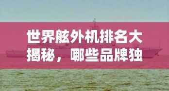 世界舷外机排名大揭秘,哪些品牌独占鳌头?
