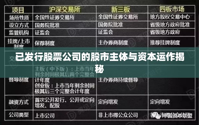 已发行股票公司的股市主体与资本运作揭秘