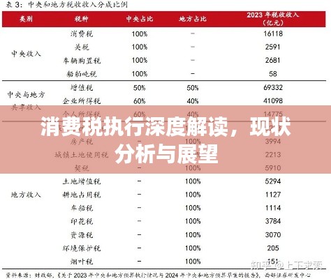 消费税执行深度解读,现状分析与展望