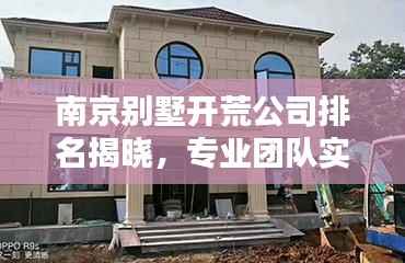 南京别墅开荒公司排名揭晓,专业团队实力比拼,为您精选优质服务商!